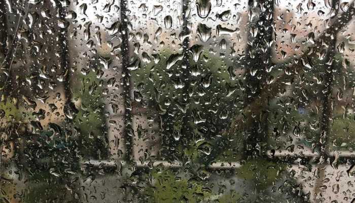 杭州元旦小长假天气情况出炉 元旦假期将有小雨