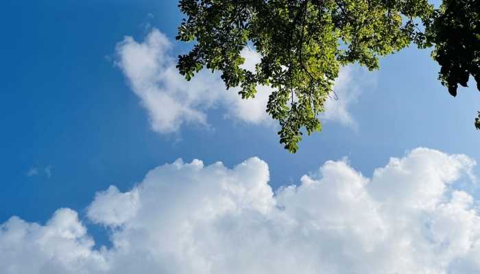 2024年1月有大寒潮吗 中央气象台预报8日起冷气增强