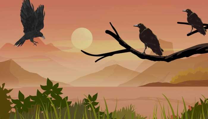 甘肃地震前后乌鸦满天飞 鸟群在天空盘旋是地震前兆吗?