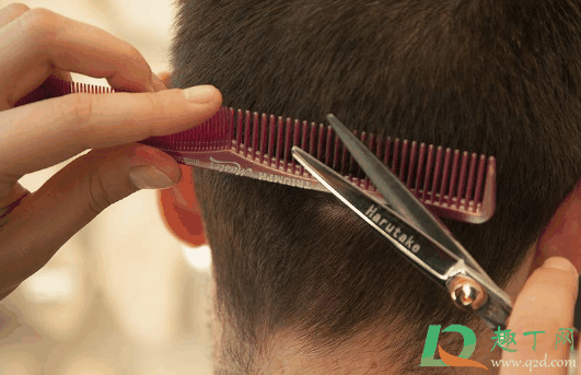 龙抬头没有理发怎么办?龙抬头没有理发还可以补救吗