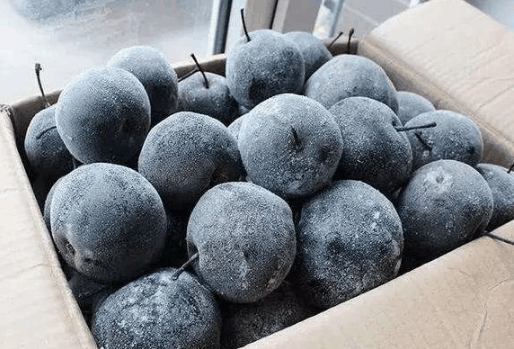 冻梨要反复冻几次才可以变成黑色?冻梨要冻多少次才会变黑插图2 冻梨要反复冻几次才可以变成黑色3