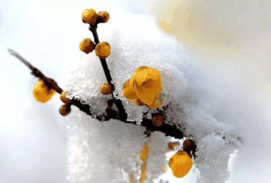 2024年腊月十八是黄道吉日吗?2024年腊月十八是好日子吗