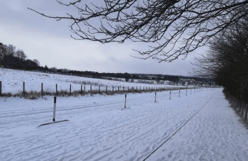 河南2月份会下雪吗?河南2月份天气是好是坏
