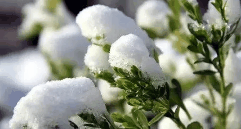 2024年阳历四月份冷不冷?阳历四月天气有什么变化