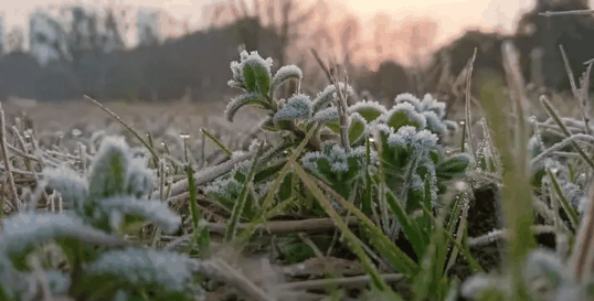 2024年六九天气还冷吗?六九后天气有什么变化