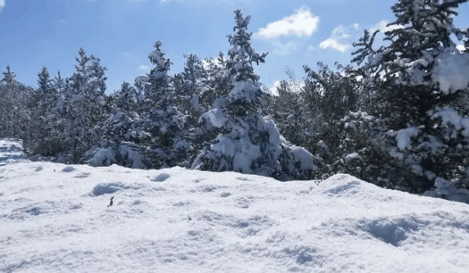 内蒙古3月份会下雪吗2024?内蒙古3月份天气怎么样