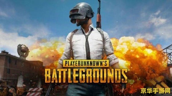 腾讯 吃鸡 腾讯吃鸡:游戏现象与文化现象的双重解读 腾讯 吃鸡 腾讯吃鸡:游戏现象与文化现象的双重解读