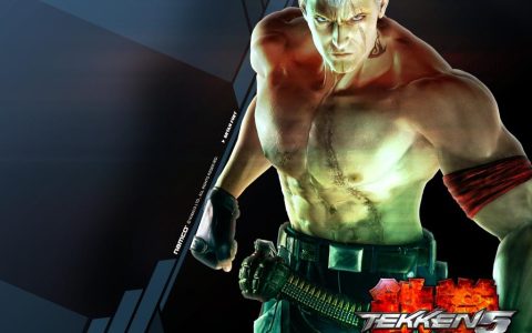 《铁拳5pc》游戏相关内容分析