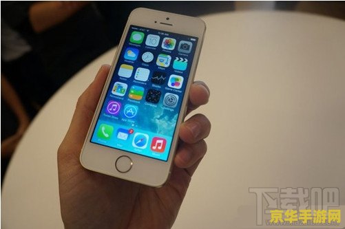 苹果手机home键失灵分析与解决方案