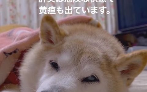 剑网3代练 剑网3代练- 专业快速的游戏代练服务