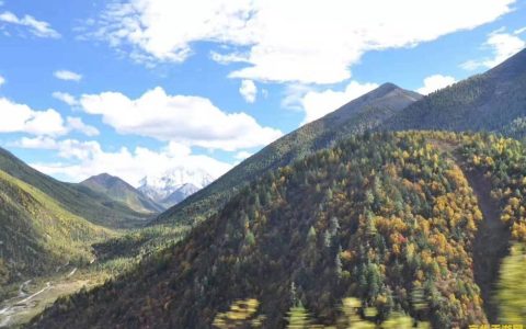 英雄联盟绅士 英雄联盟绅士