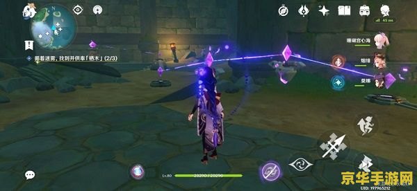 原神远海夷地的瑚枝在哪里 原神远海夷地的瑚枝位置解析 原神远海夷地的瑚枝在哪里 原神远海夷地的瑚枝位置解析