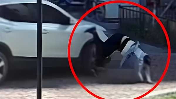 司机把油门当刹车5秒撞人两次 驾驶员的责任有哪些