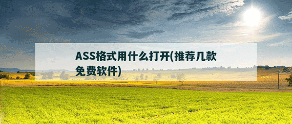 ASS格式字幕文件用什么app打开，推荐几款免费软件