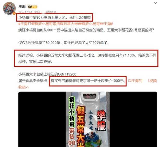 王海举报小杨哥带货假五常大米  具体情况是否属实