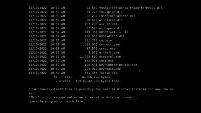 纯文本模式Win11 Tiny11上线 安装镜像小于100MB插图1
