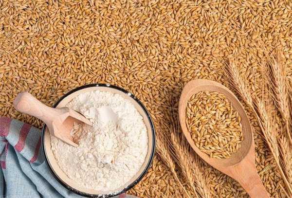 逼空大戏不断上演 跌破1.35元后小麦价格到底了吗