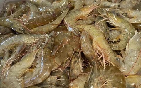 215元买2袋虾有45元都是水 套路太深了