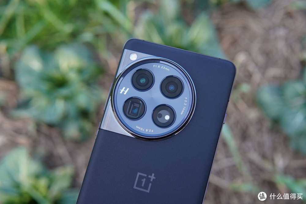 5年未见，盛景如昔——一加12镜头下的厦门马拉松