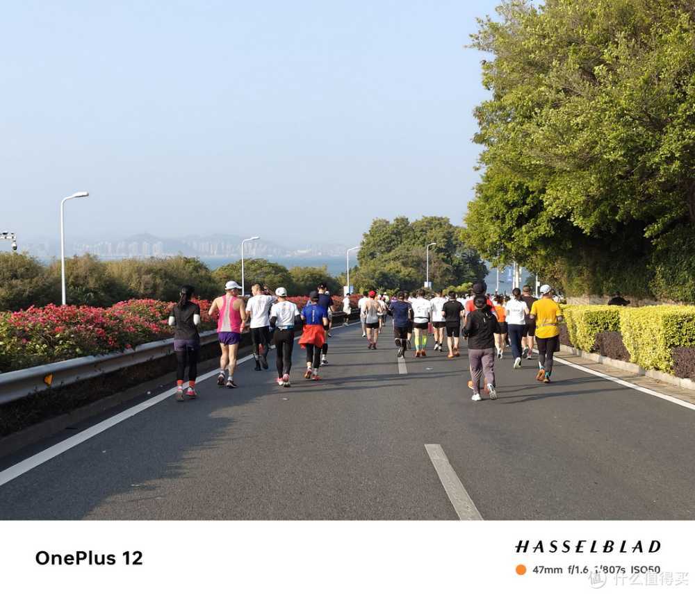 5年未见，盛景如昔——一加12镜头下的厦门马拉松