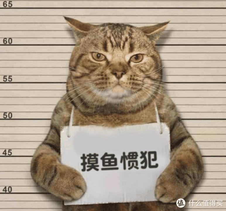 春节购物季，是时候换新手机了，盘点2024春节最值得买的旗舰手机