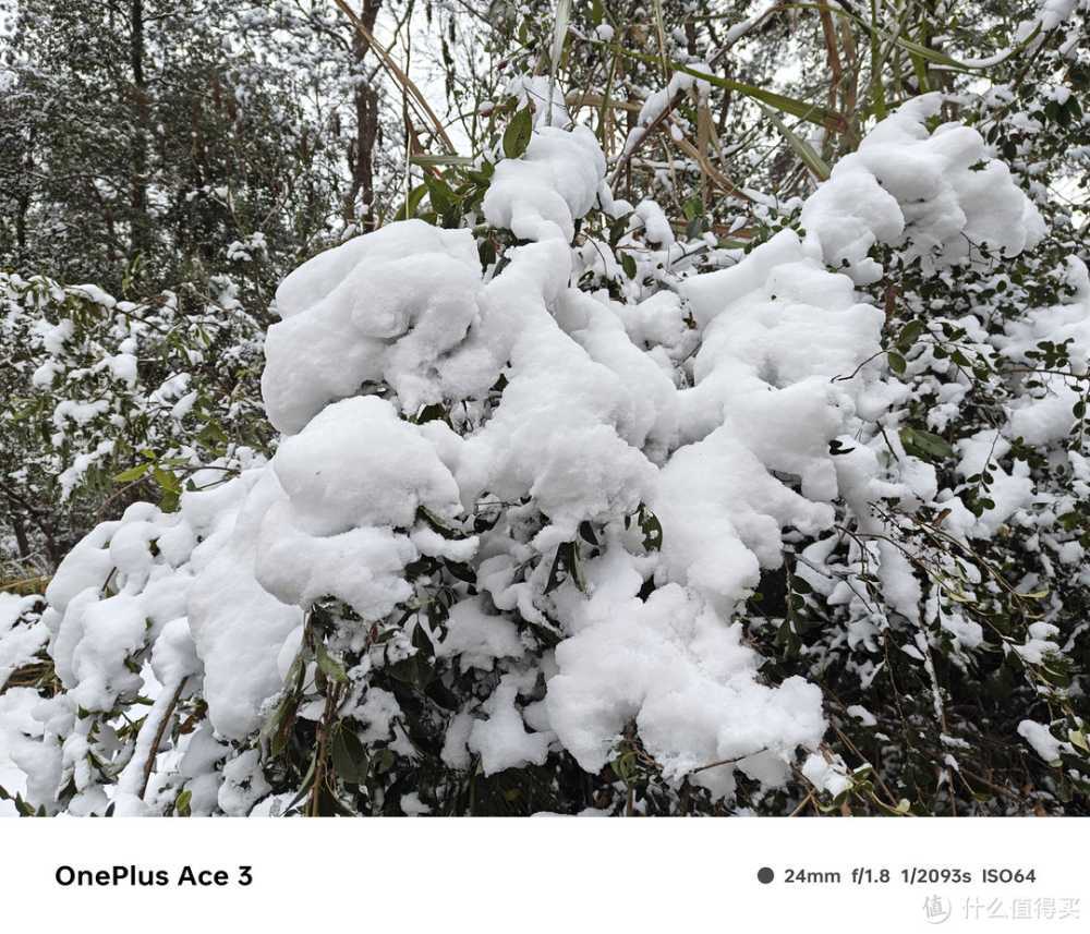 1.5K东方屏、5500mAh大电池...还有什么？一加Ace 3全测评供你参考