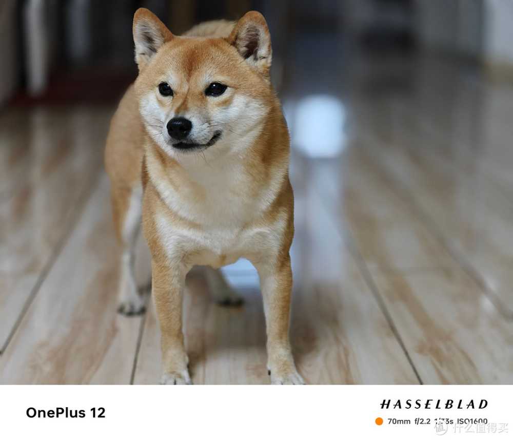 春节看看这些数码年货，过年七天更欢乐