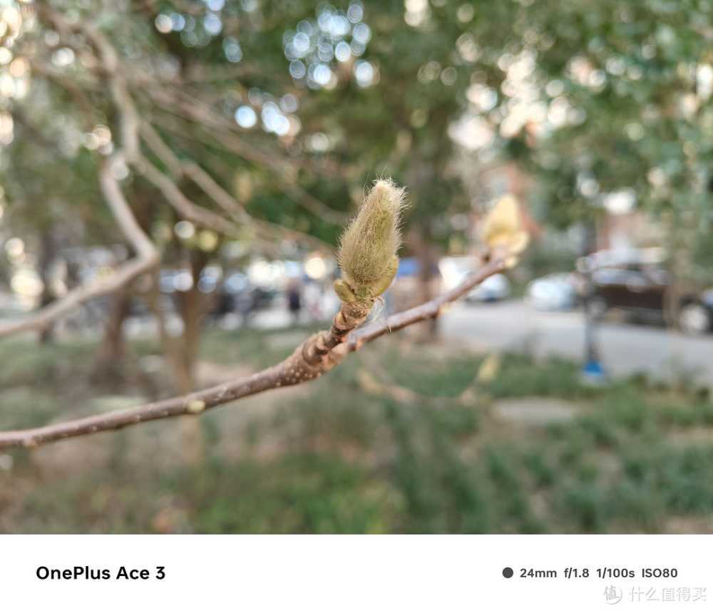 旗舰镜头+旗舰算法,一加 Ace 3 拍照效果究竟如何?实拍验证插图10 旗舰镜头+旗舰算法,一加 Ace 3 拍照效果究竟如何?实拍验证