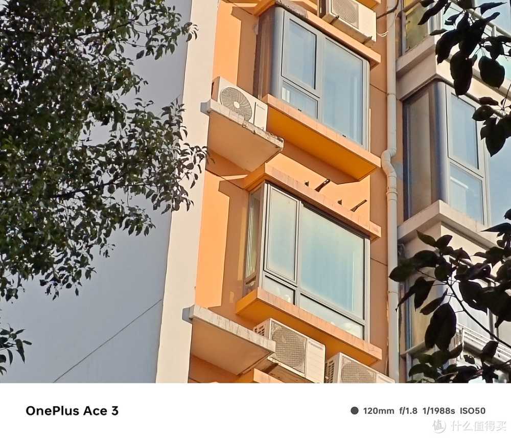 旗舰镜头+旗舰算法,一加 Ace 3 拍照效果究竟如何?实拍验证插图7 旗舰镜头+旗舰算法,一加 Ace 3 拍照效果究竟如何?实拍验证