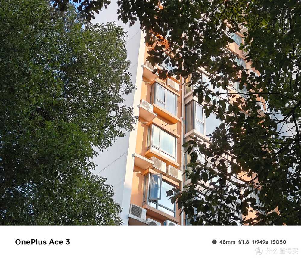 旗舰镜头+旗舰算法,一加 Ace 3 拍照效果究竟如何?实拍验证插图6 旗舰镜头+旗舰算法,一加 Ace 3 拍照效果究竟如何?实拍验证
