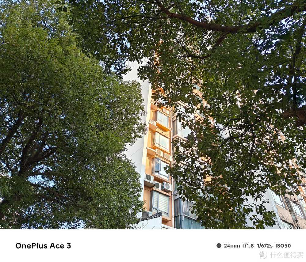 旗舰镜头+旗舰算法,一加 Ace 3 拍照效果究竟如何?实拍验证插图5 旗舰镜头+旗舰算法,一加 Ace 3 拍照效果究竟如何?实拍验证