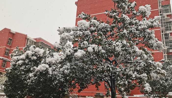 江苏降雪量预报图黑了一块怎么回事 今天起一直到2月6日将有持续雨雪
