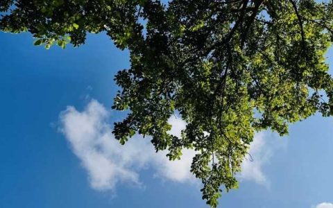 今起江西逐渐转晴阳光上线 南昌最高气温20℃