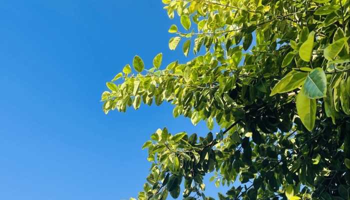 北极平流层发生惊人变化 暴雪连续袭击新疆