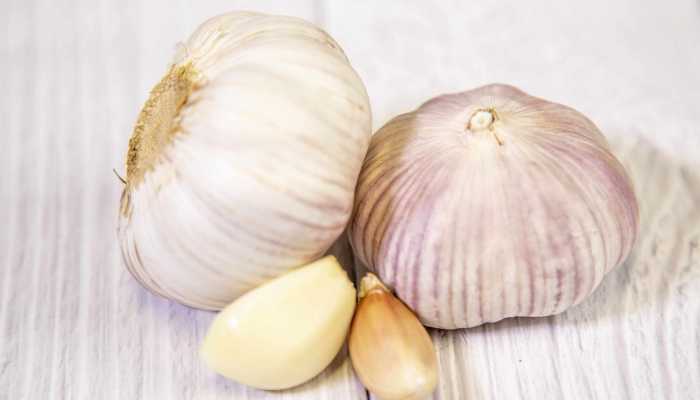 腊八蒜怎么腌制才能又脆又绿 做腊八蒜的正确方法插图1 腊八蒜怎么腌制才能又脆又绿 做腊八蒜的正确方法