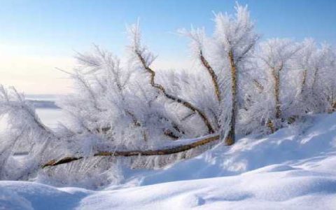 寒潮来袭未来三天河北雨雪在线 张家口承德等地有中雪