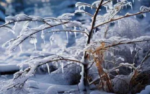 大寒潮发起总攻 南方要下暴雪