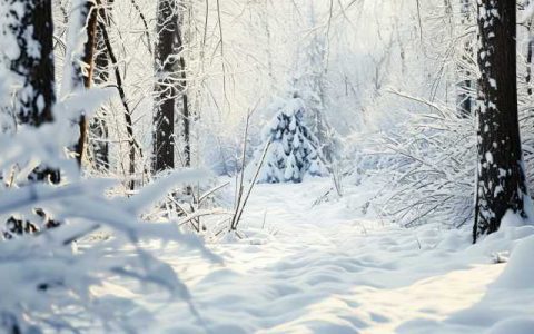今年首场寒潮来了 是否影响春运呢