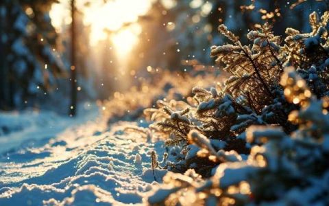 2024年首场寒潮即将来袭 会有多大影响