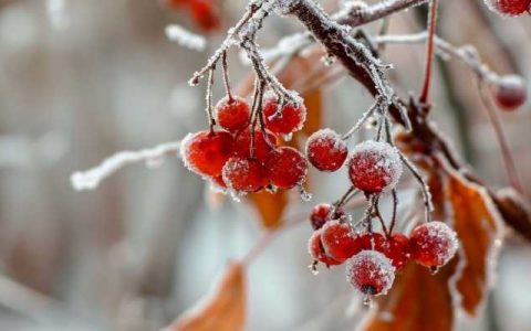 今年首场寒潮席卷我国中东部 波及超25省份这些地方降温最猛