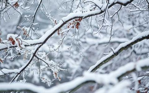 寒潮来了大暴雪来了 南方近10省份将有大到暴雪