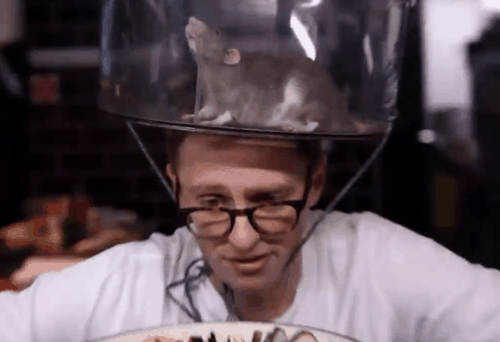 你敢吃尝尝吗！网红小哥训练老鼠当厨师：还做菜给朋友吃