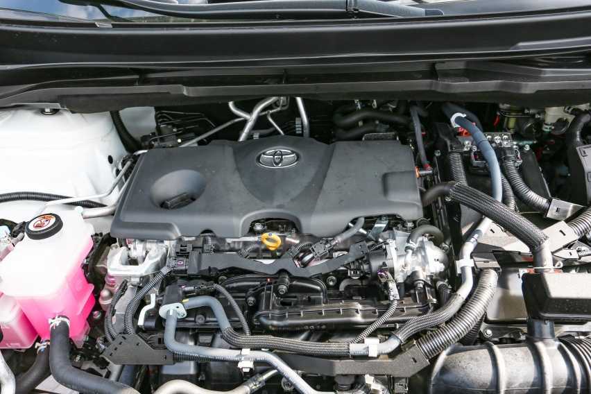 过年了，开着我的赛那走亲戚，亲戚说我真能装，这你受得了？