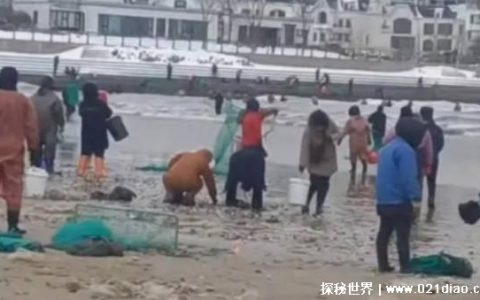 海边发生多起捞海肠溺水事件 溺水抢救的黄金时间