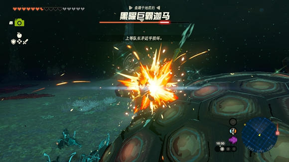 14-230F2233554493 14-230F2233554493