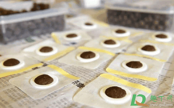 三伏贴贴完第二天能同房吗?贴三伏贴多久可以同房插图 三伏贴贴完第二天能同房吗1