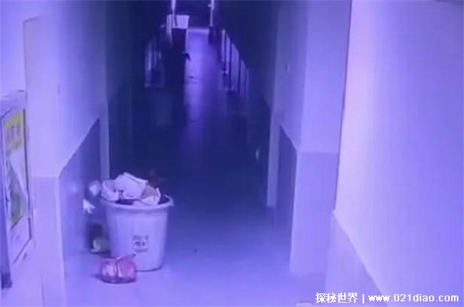 疯传财贸女生“养小鬼”，精神寄托和好奇心作祟 (早晚在阳台跳舞，还自言自语)插图1