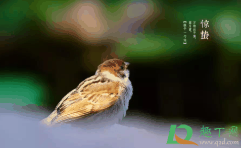 惊蛰之后是正月还是2月?惊蛰是农历几月