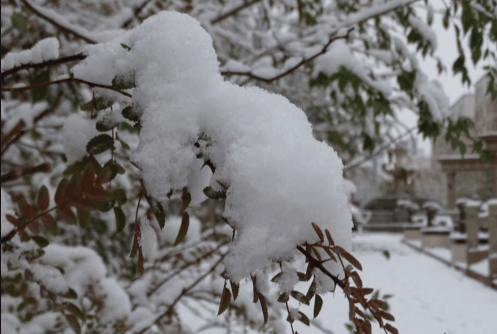2022年冬天冷到几月份?一般到几月份就不冷了