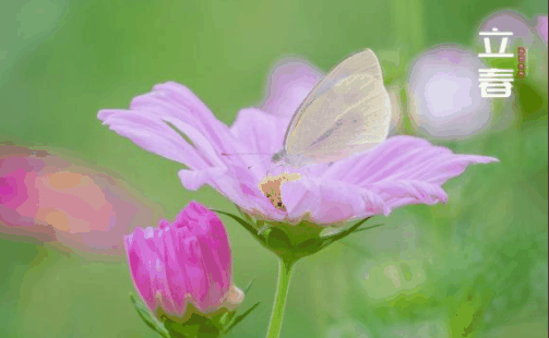 今年立春冷不冷2022?立春是不是就不冷了